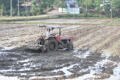 Tiếp tục đổi mới chính sách phát triển nông nghiệp, nông thôn